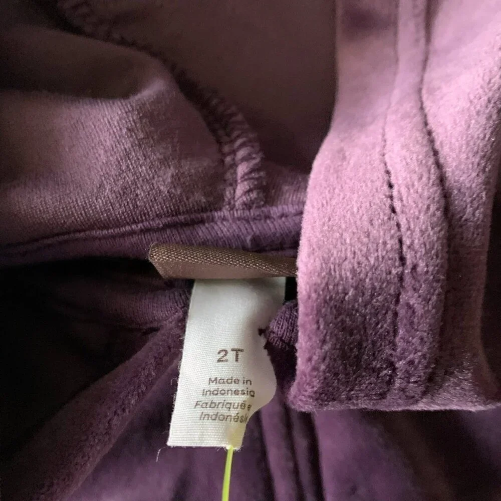NWT Tea Collection Bunny Ears Velour Baby Hoodie 2T 2 years